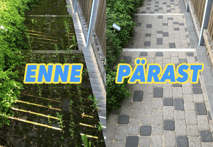 mopimees tanavakivide pesu spetsialist