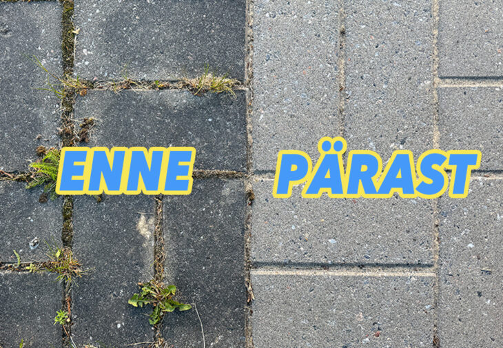 tänavakivi puhastamine mopimees