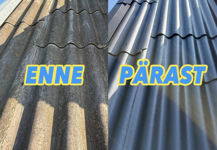 katuse pesu mopimees 10 nippi