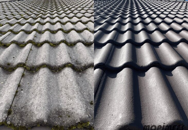 Katuse hooldamine koos katuse pesemise ja värvimisega