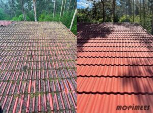 katusepesu mopimees 3