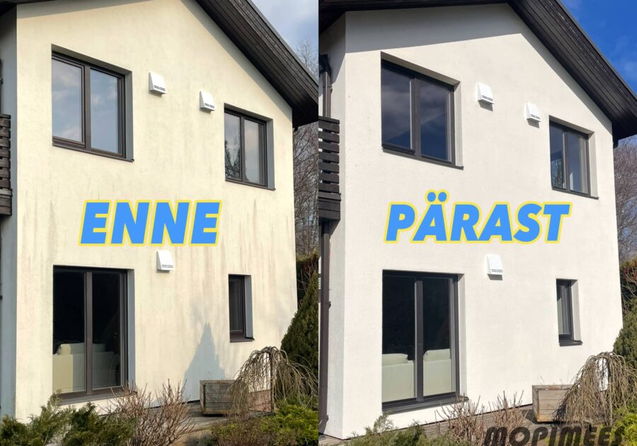 fassaadipesu mopimees 1