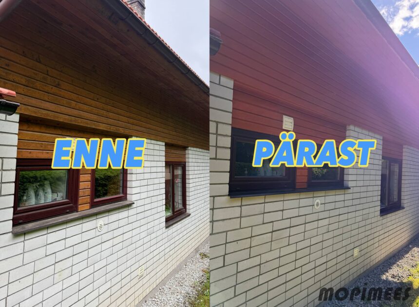 fassaadipesu mopimees 10