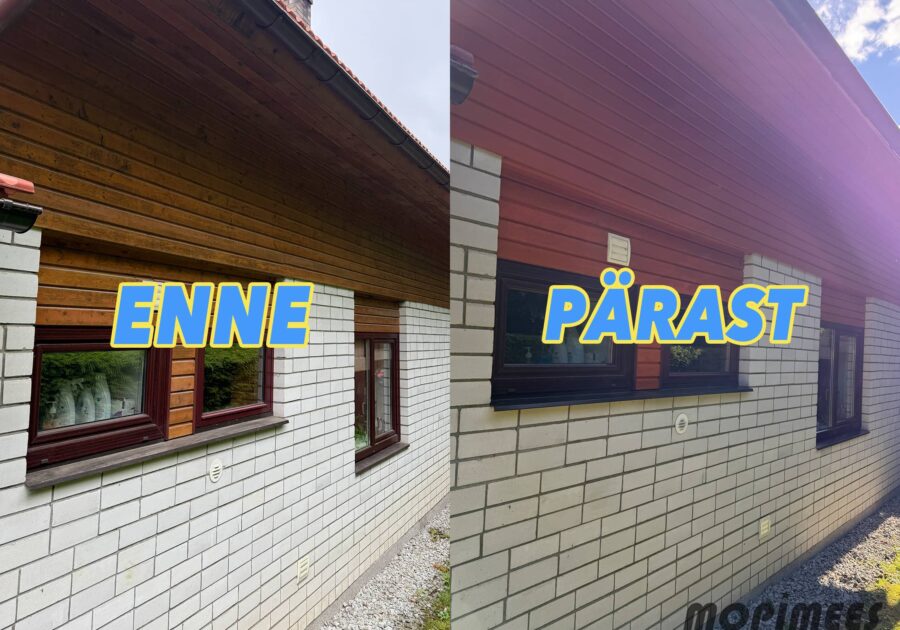 fassaadipesu mopimees 10