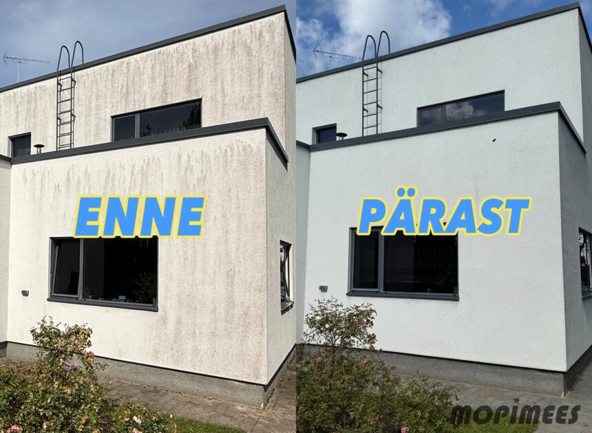 fassaadipesu mopimees 3