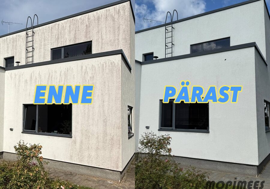 fassaadipesu mopimees 3