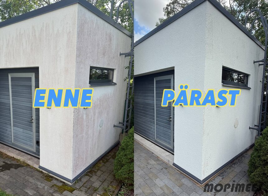 fassaadipesu mopimees 5