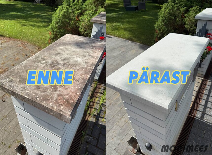 fassaadipesu mopimees 6