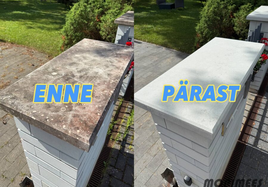 fassaadipesu mopimees 6