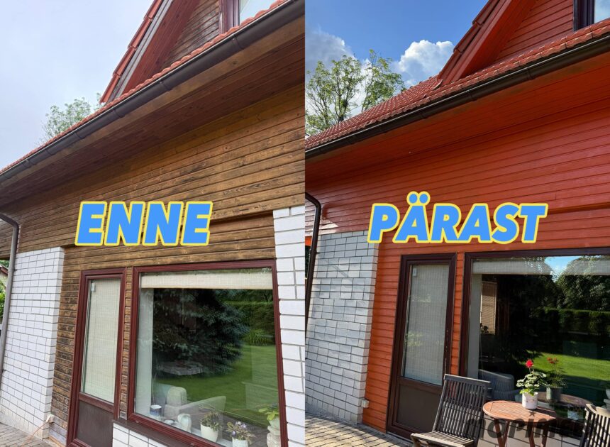 fassaadipesu mopimees 7