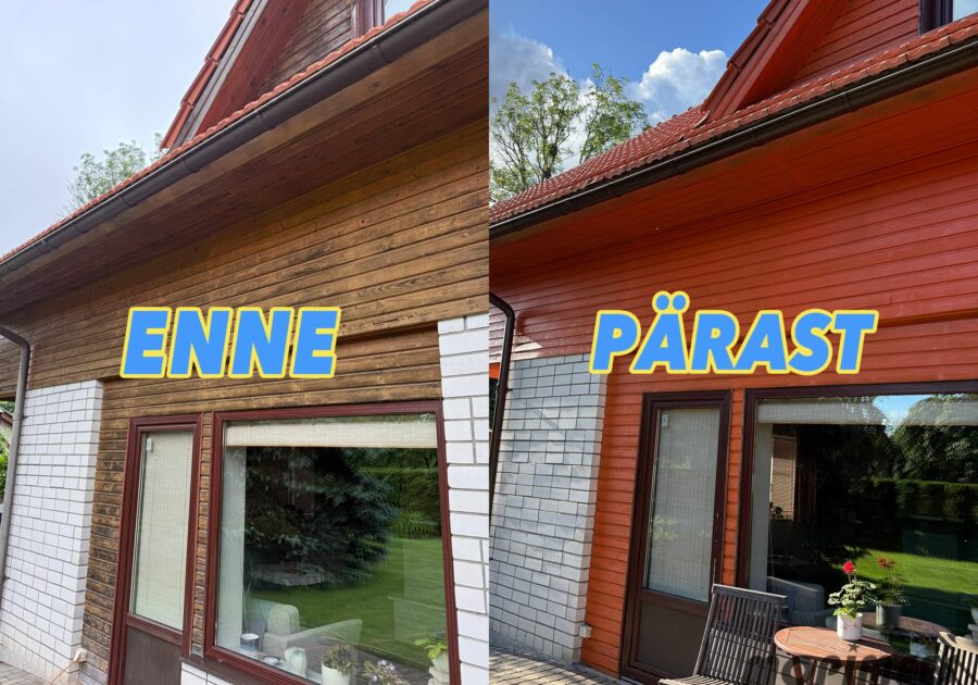 fassaadipesu mopimees 7