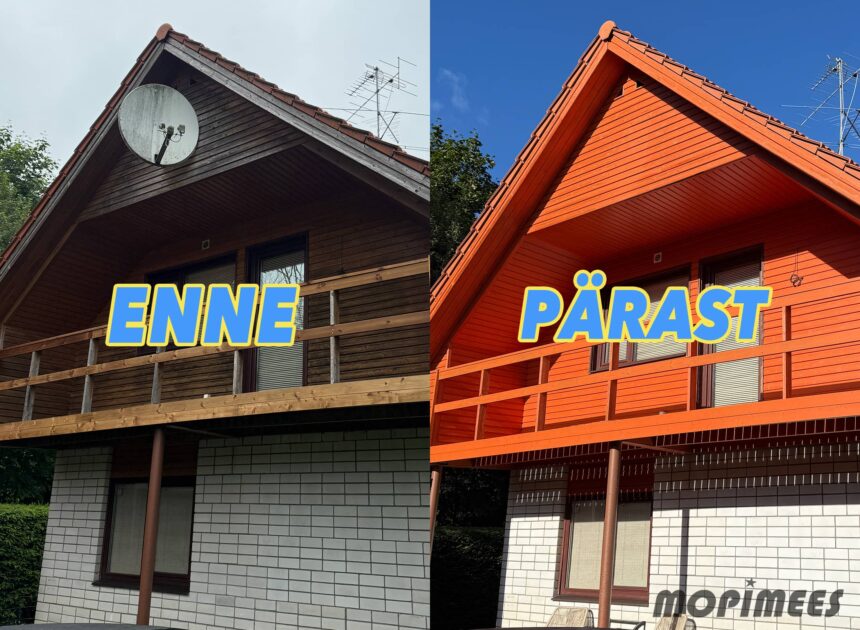 fassaadipesu mopimees 8