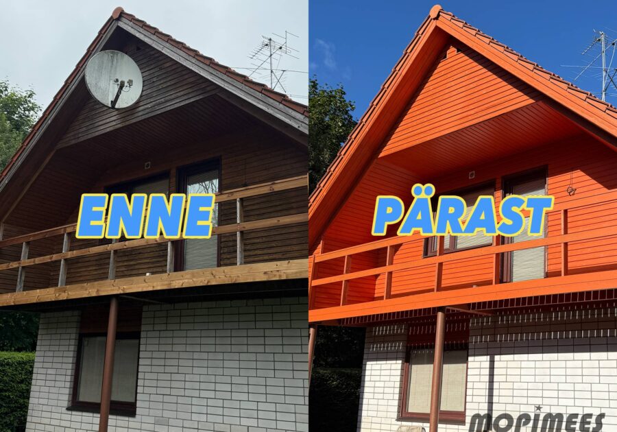 fassaadipesu mopimees 8