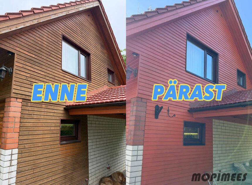 fassaadipesu mopimees 9