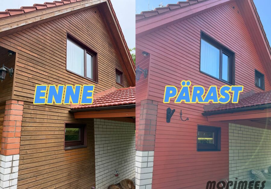 fassaadipesu mopimees 9