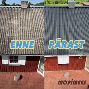 katusepesu mopimees 1