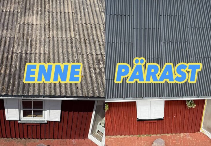 katusepesu mopimees 1