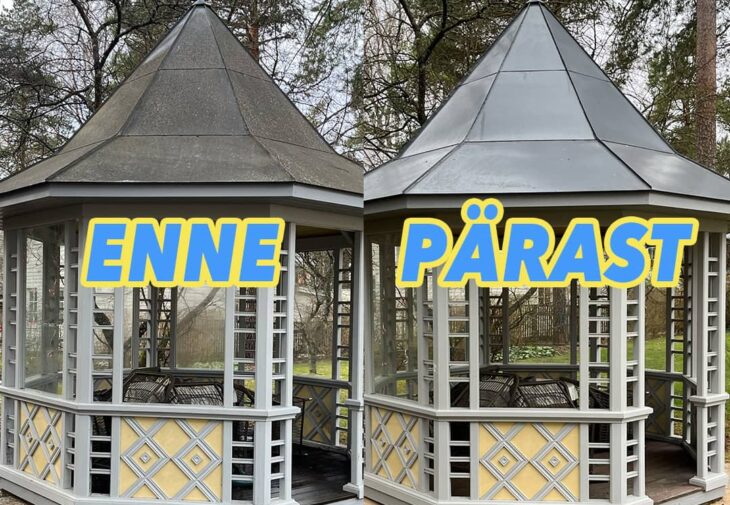 katuse puhastus mopimees 1