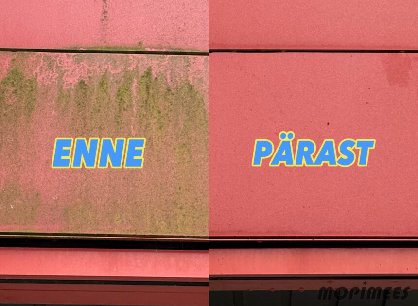 Fassaadi pesemine vetikast