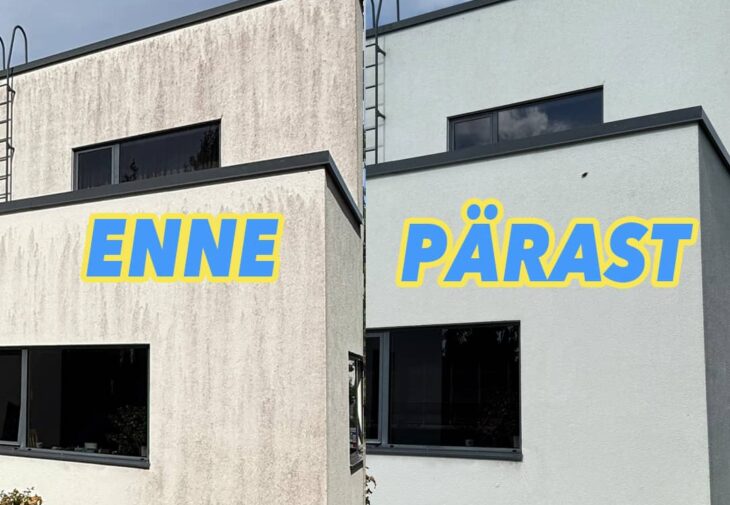 mopimees fassaadipesu krohv