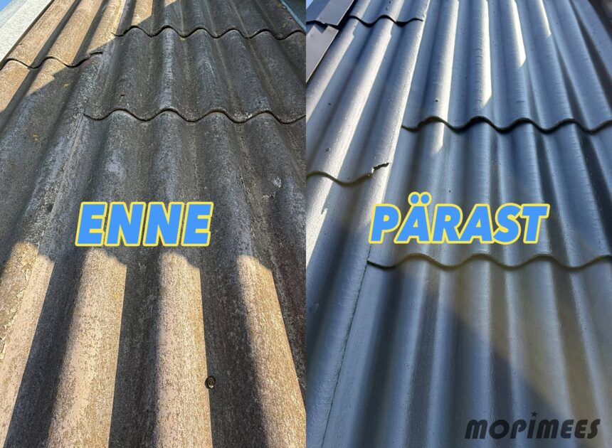 eterniitkatuse puhastus värvimine katusepesu mopimees
