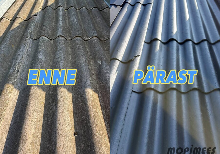 eterniitkatuse puhastus värvimine katusepesu mopimees