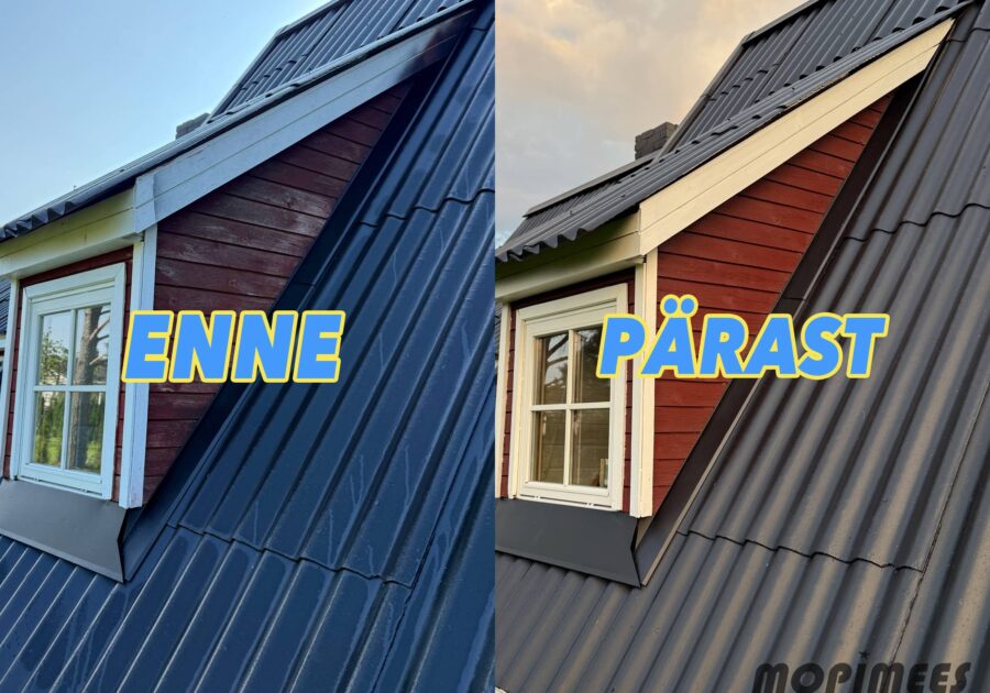 fassaadipesu värvimine mopimees