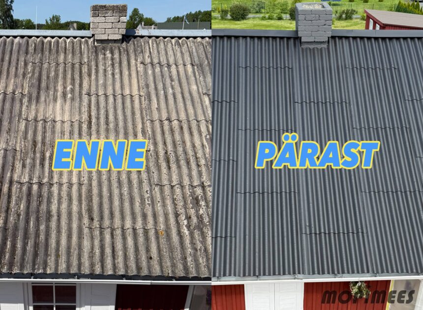 katuse pesu värvimine mopimees