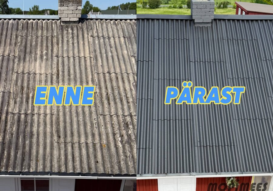 katuse pesu värvimine mopimees