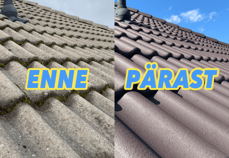 katuse puhastamine kuidas mopimees puhastas ja varvis erakliendi katuse