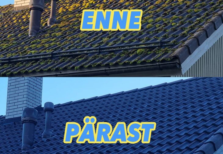 katuse puhastamine milleks see vajalik on