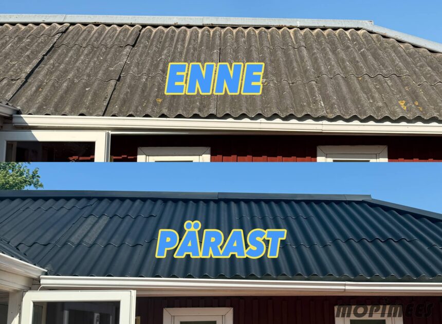 katusepesu värvimine mopimees