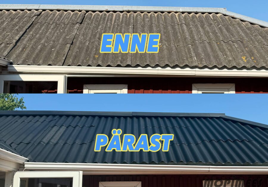 katusepesu värvimine mopimees