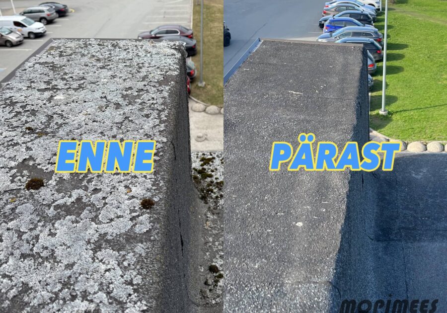 parapeti puhastamine mopimees