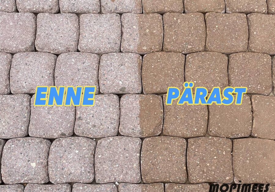 patio kivikuullote mopimees