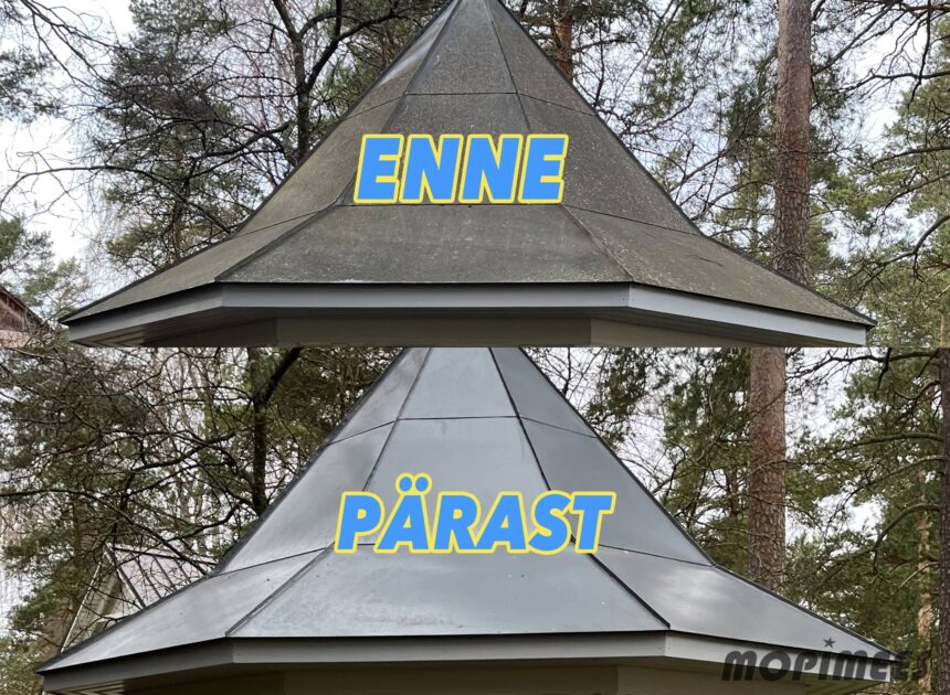 plekkkatuse pesu mopimees