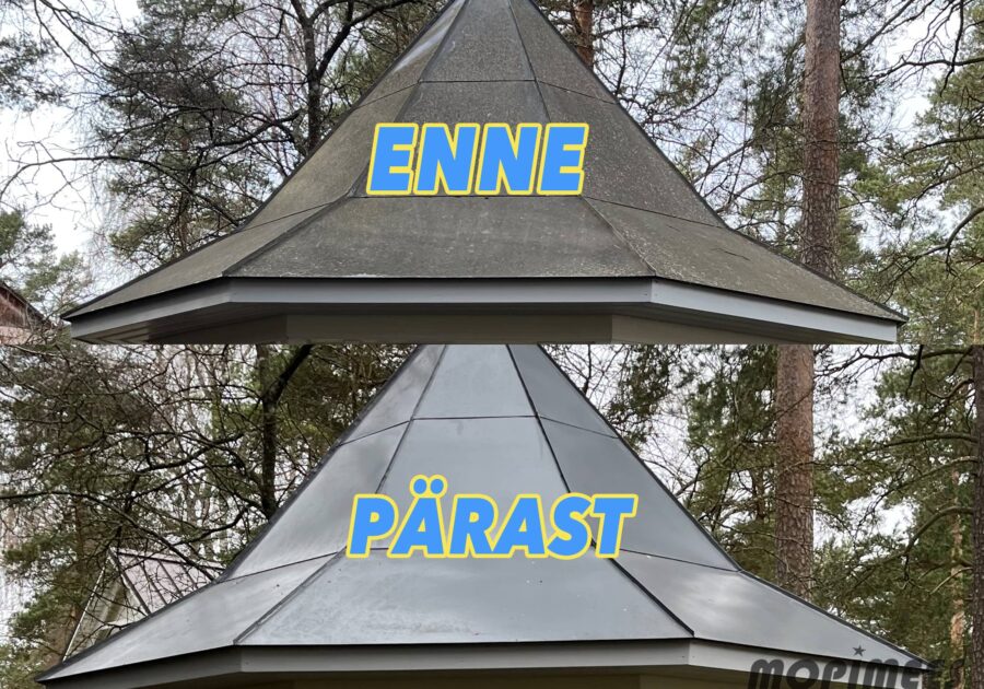 plekkkatuse pesu mopimees