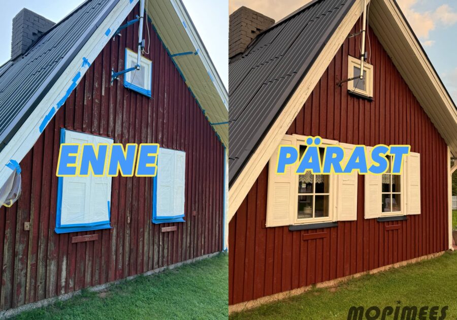 puitfassaadi hooldus mopimees fassaadipesu