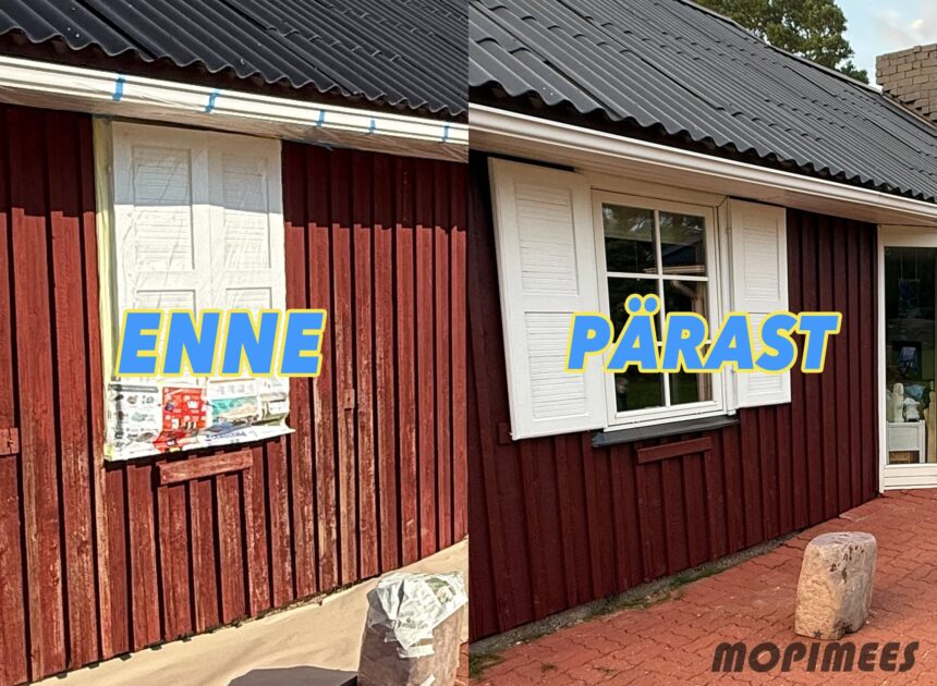 Puitfassaadi survepesu ja värvimine