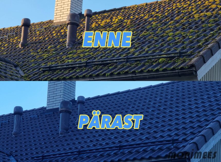 sambla eemaldamine katusepesu mopimees