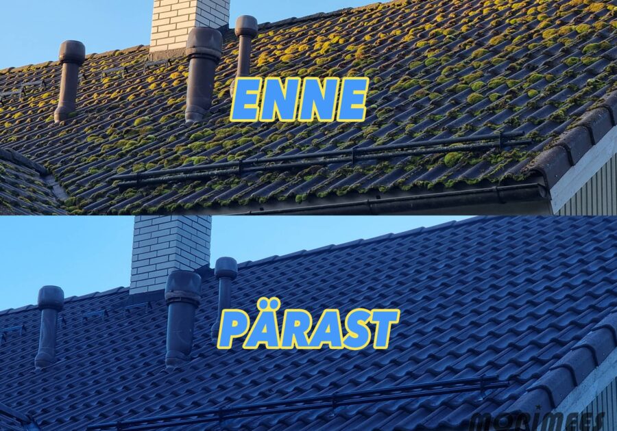 sambla eemaldamine katusepesu mopimees