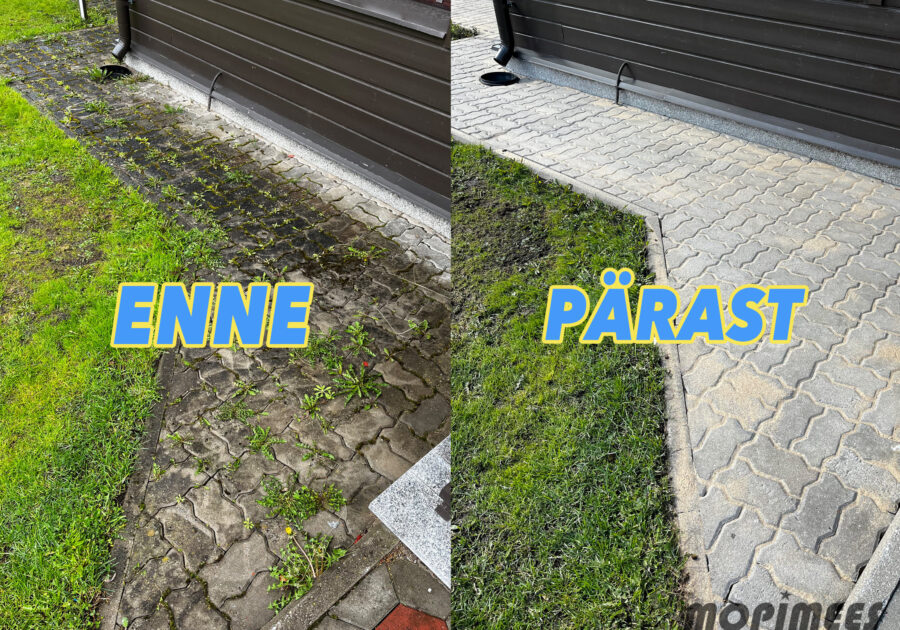 unikivi puhastamine mopimees 1