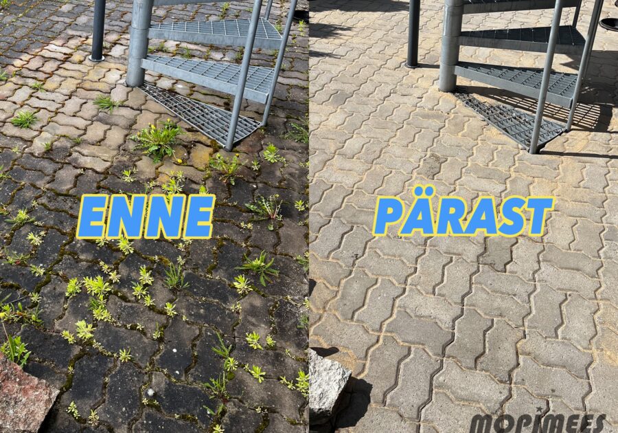 unikivi puhastamine mopimees 2