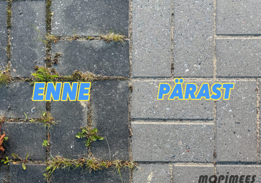 unikivi puhastamine mopimees 3