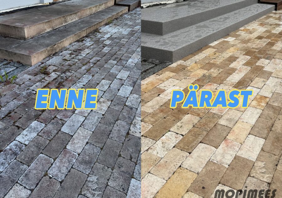 unikivi puhastamine mopimees 4